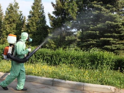 Уничтожение комаров в Сергиевом Посаде